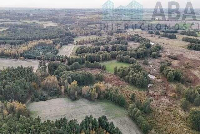 Działka rolna na sprzedaż Myślibórz  9 200m2 Foto 4