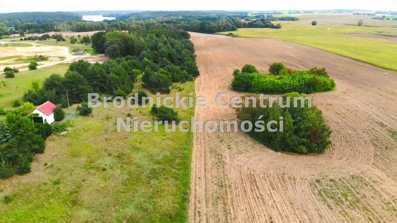 Działka rolna na sprzedaż Jabłonowo Pomorskie, Lembarg  3 000m2 Foto 11