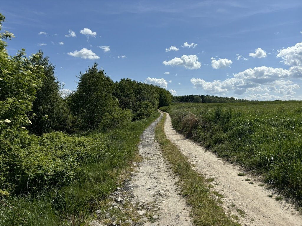 Działka inna na sprzedaż Straszydle  8 300m2 Foto 5