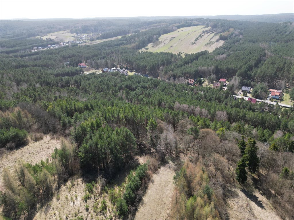 Działka budowlana na sprzedaż Krasnobród  7 862m2 Foto 15