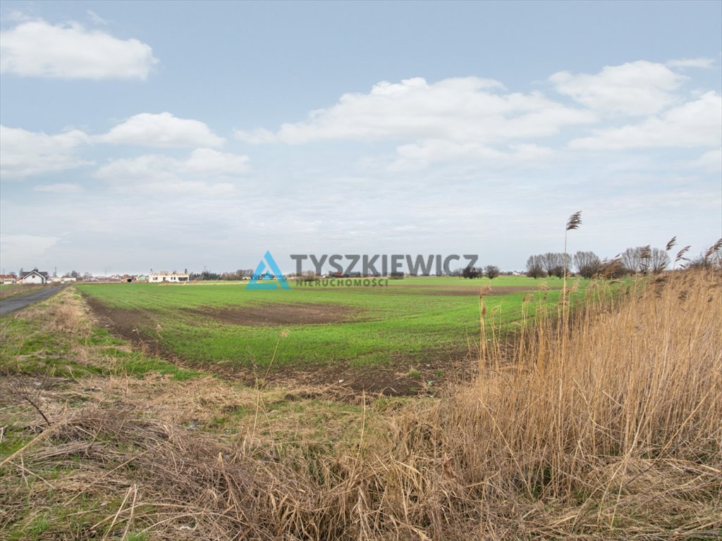 Działka przemysłowo-handlowa na sprzedaż Nowy Dwór Gdański, Okopowa  1 206m2 Foto 4