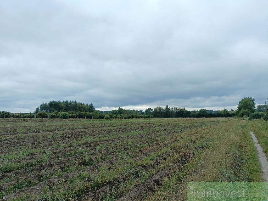 Działka budowlana na sprzedaż Imno  1 104m2 Foto 9