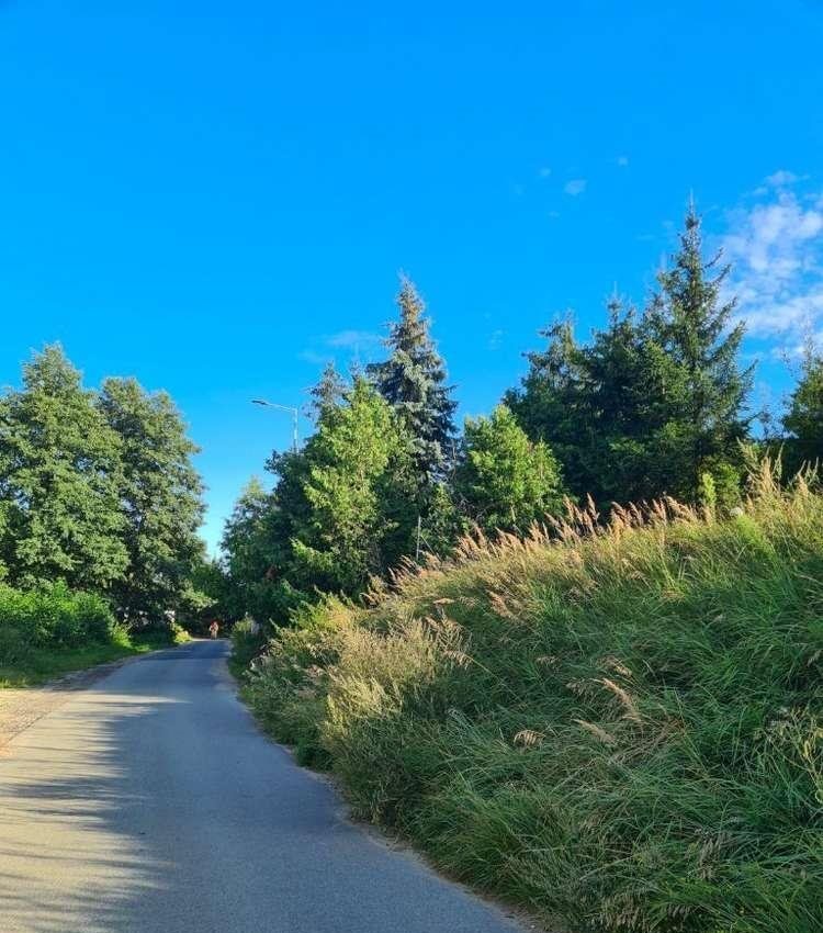 Dom na sprzedaż Poznań, Stare Miasto, Morasko, ul. Huby Moraskie  431m2 Foto 15