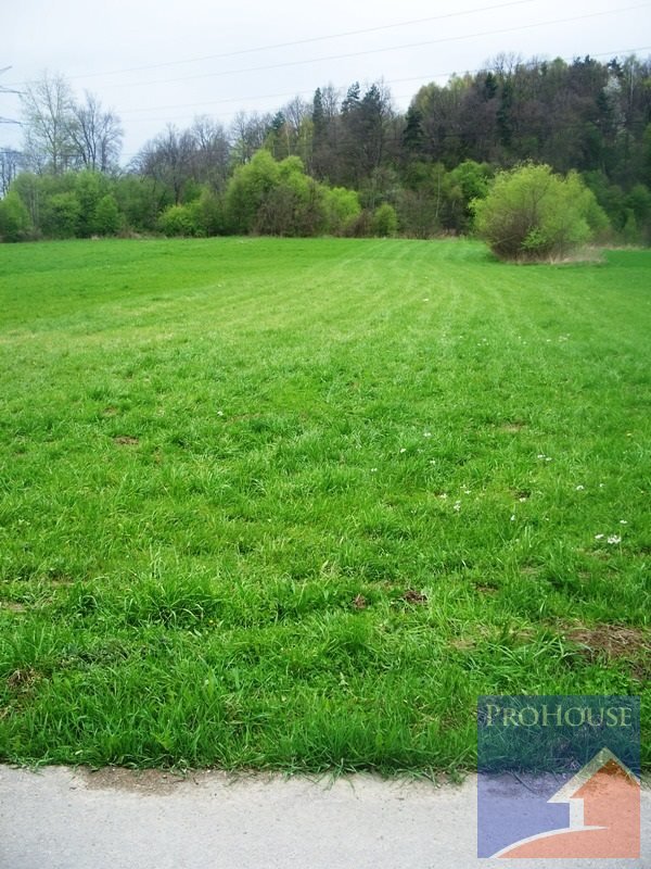 Działka budowlana na sprzedaż Sobolów  6 200m2 Foto 1