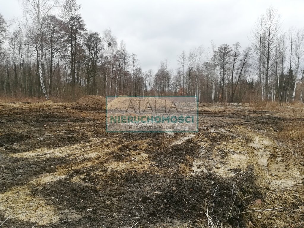 Działka 10 000 m² w Czarnym Lesie - media przy działce Czarny Las  10 000m2 Foto 1