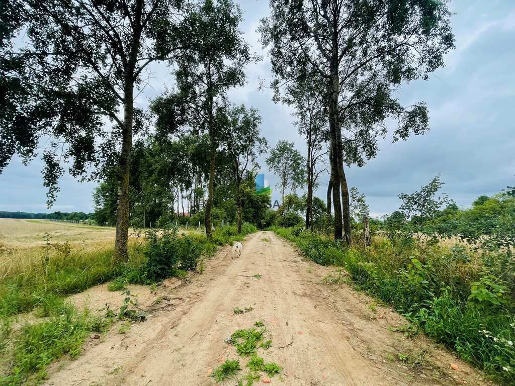 Działka budowlana na sprzedaż Miłkowiec  3 000m2 Foto 7