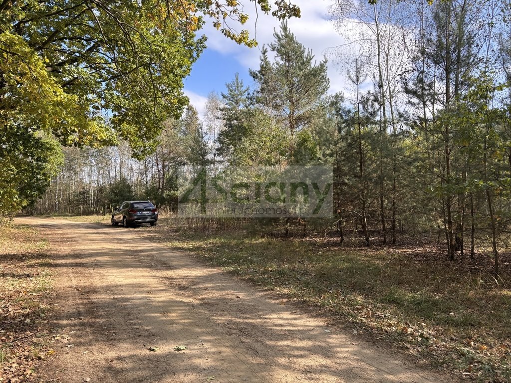 Działka budowlana na sprzedaż Dębina  5 432m2 Foto 1