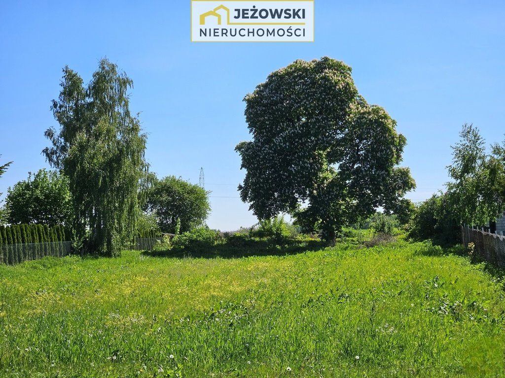 Działka budowlana na sprzedaż Skowieszynek  11 600m2 Foto 1