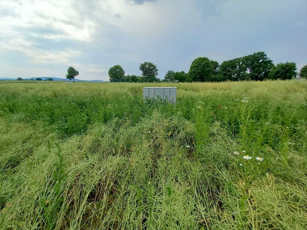 Działka budowlana na sprzedaż Olszany, Olszany  6 070m2 Foto 3