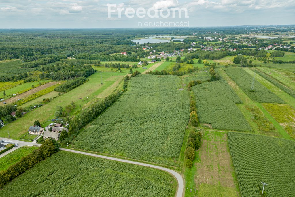 Działka budowlana na sprzedaż Wojnicz  15 850m2 Foto 6