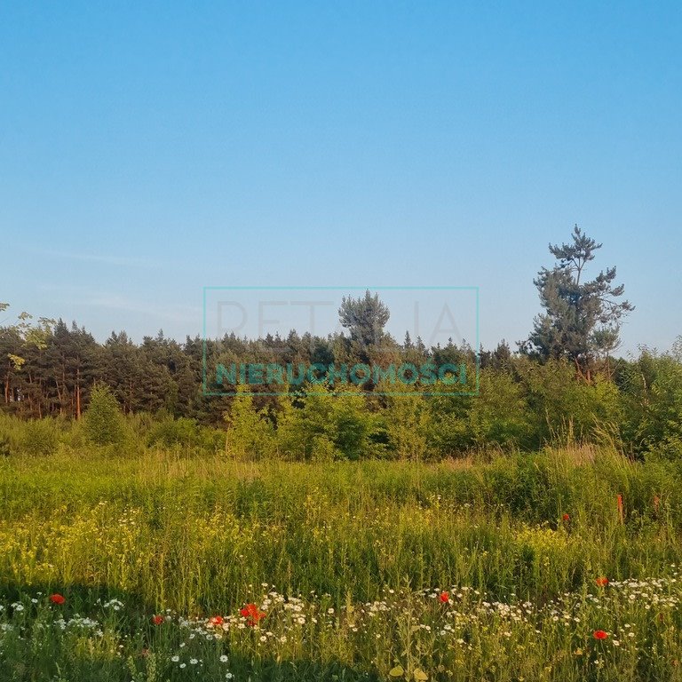 Działka komercyjna na sprzedaż Mieszkowo  10 000m2 Foto 2