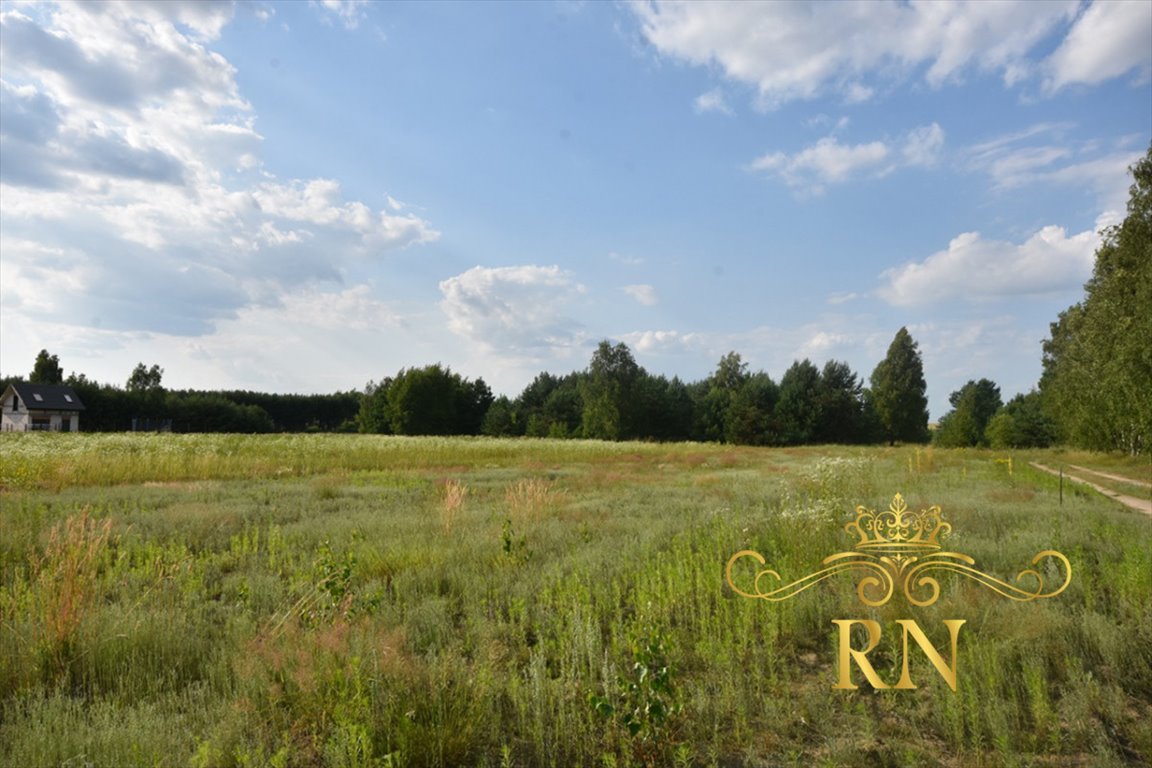 Działka rekreacyjna na sprzedaż Pałecznica  1 300m2 Foto 6