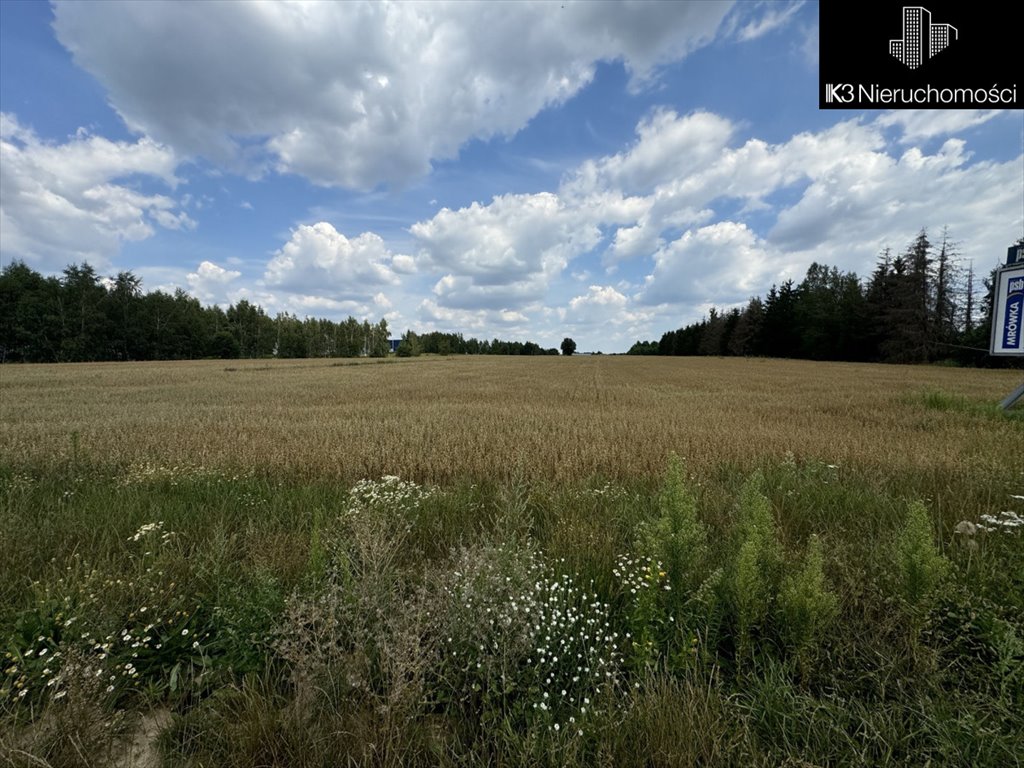 Działka przemysłowo-handlowa na sprzedaż Ujrzanów  37 000m2 Foto 5