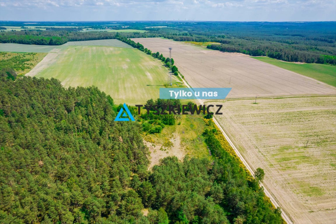 Działka rolna na sprzedaż Dębnica Kaszubska, Piaskowa  10 428m2 Foto 1