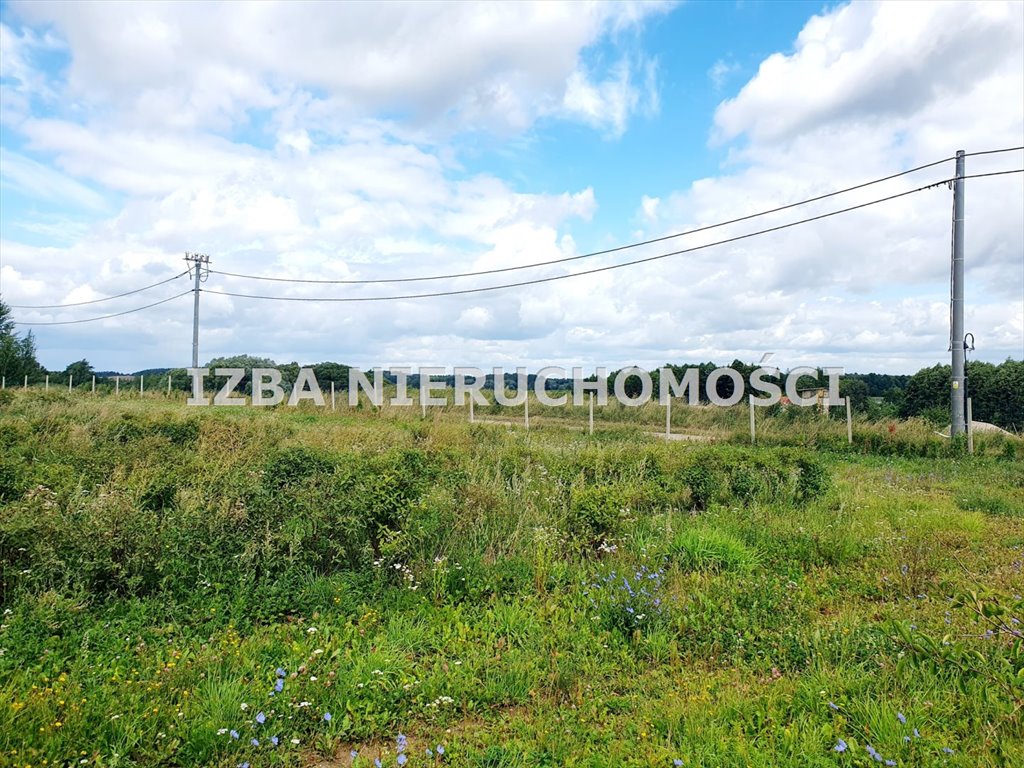 Działka budowlana na sprzedaż Chruściele  3 000m2 Foto 6