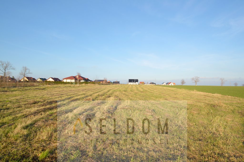 Działka inna na sprzedaż Grzybiany  2 200m2 Foto 1