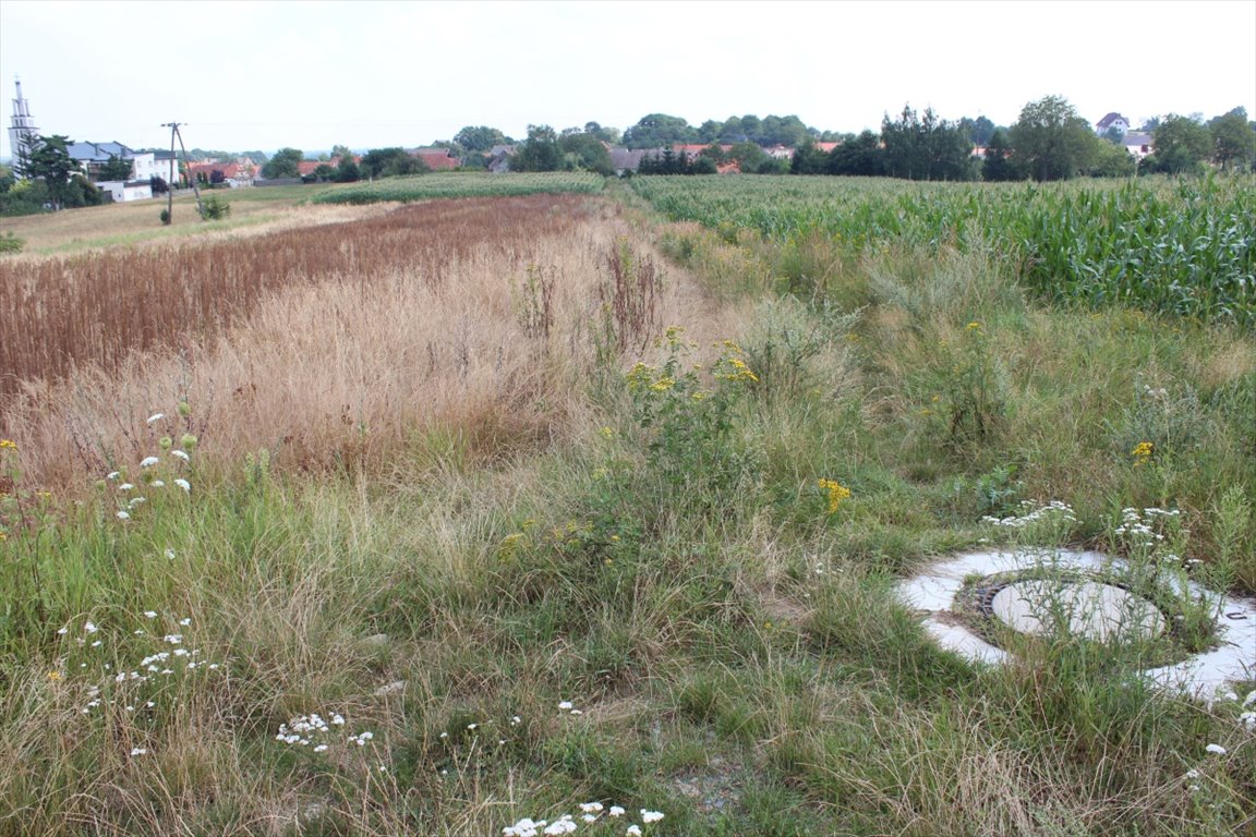 Działka budowlana na sprzedaż Strzelin, Strzelin, Kuropatnik ulica Granitowa  3 000m2 Foto 6