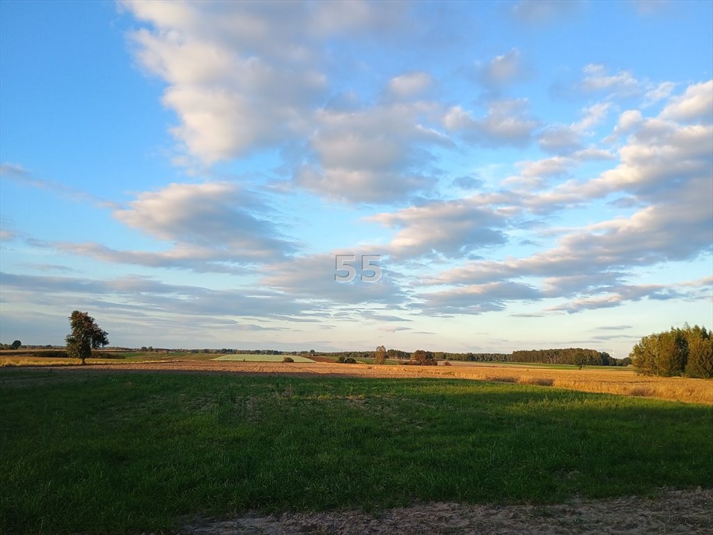 Działka inna na sprzedaż Albertów  2 373m2 Foto 1