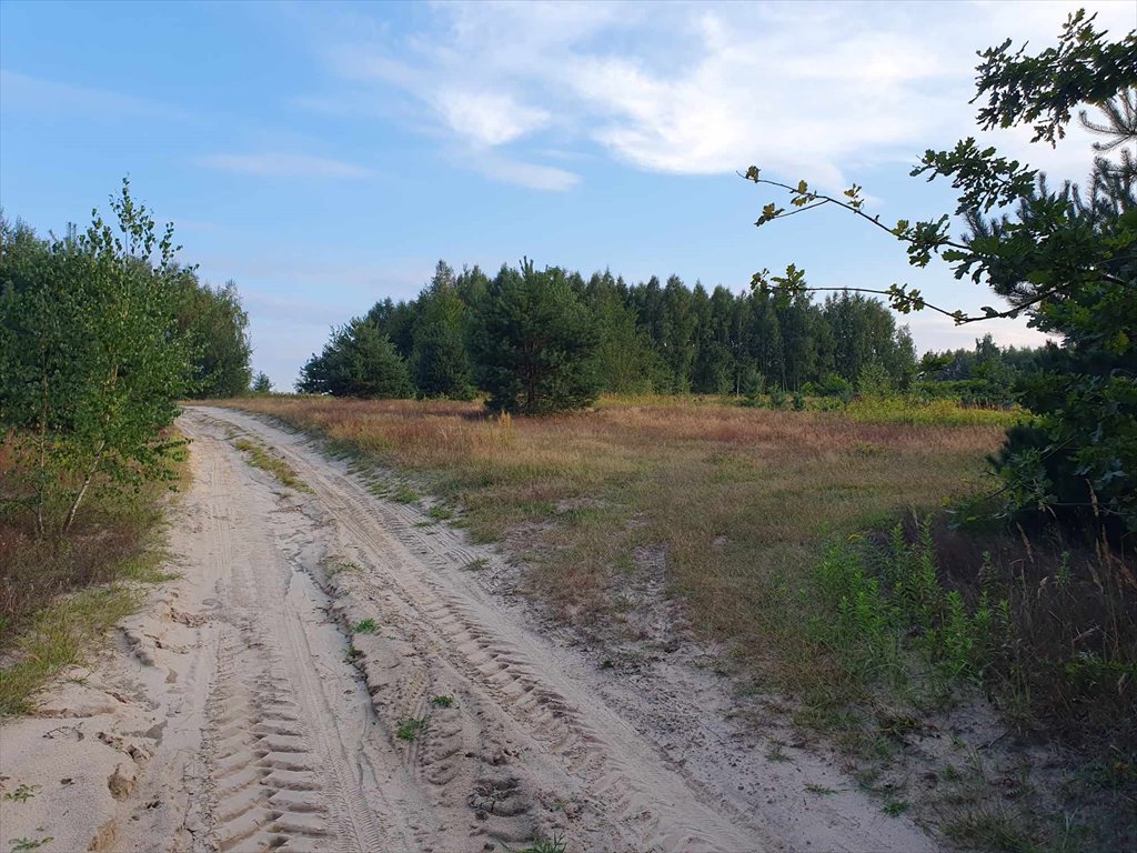 Działka rolna na sprzedaż Medynia Głogowska  2 800m2 Foto 6