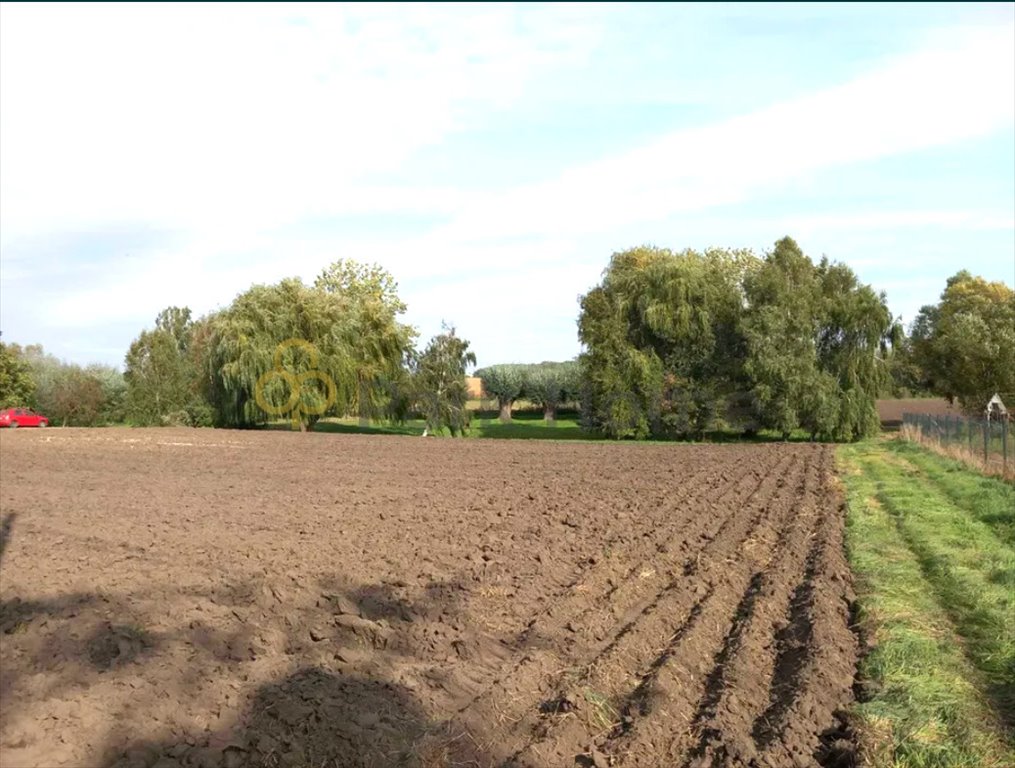 Działka 4627 m² pod dom w Nochowie z mediami i stawem Nochowo  4 627m2 Foto 1