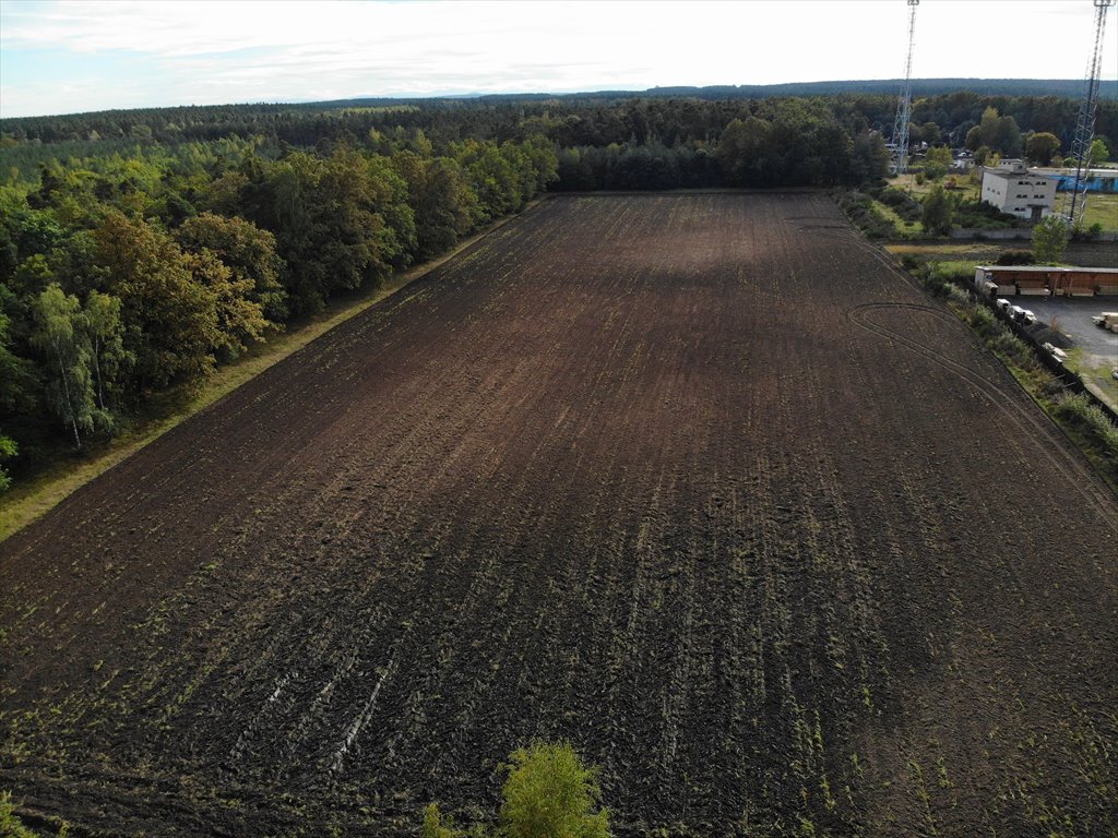 Działka przemysłowo-handlowa na sprzedaż Gromadka  9 200m2 Foto 8