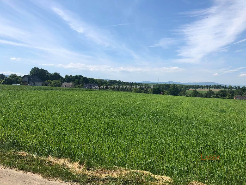 Działka rolna na sprzedaż Frydrychowice  4 000m2 Foto 1