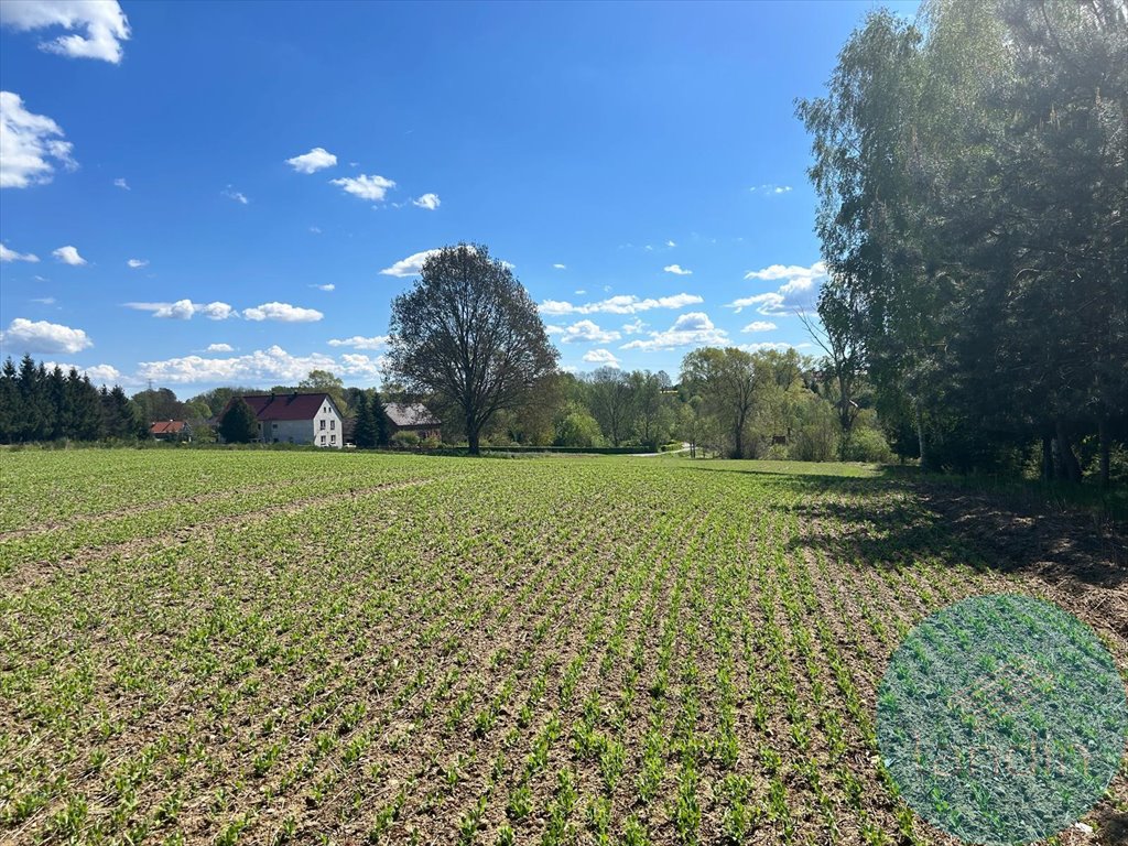 Działka budowlana na sprzedaż Rudzica  900m2 Foto 1