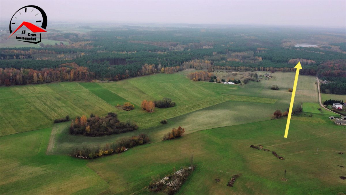 Działka gospodarstwo rolne na sprzedaż Gołąbki  138 960m2 Foto 5