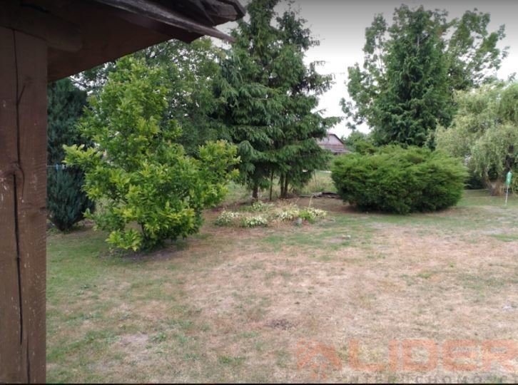 Działka 6100 m² z możliwością podziału i zabudowy zagrodowej Śliwno  6 100m2 Foto 1