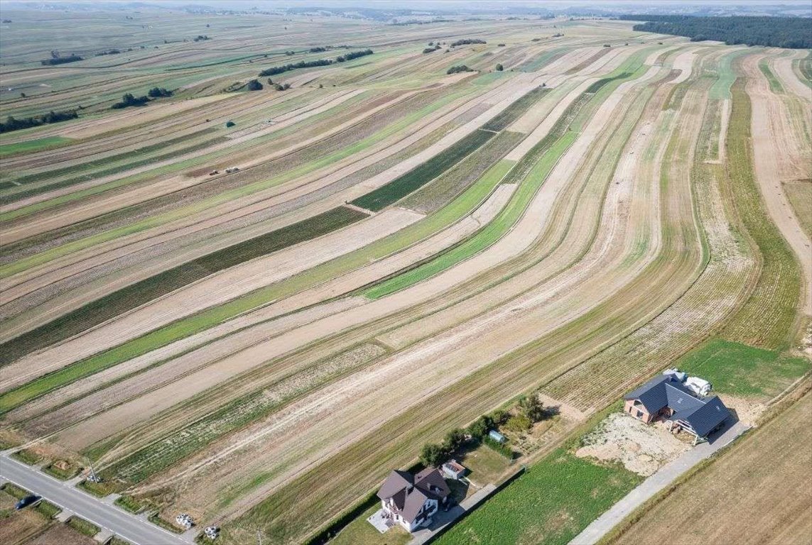 Działka siedliskowa na sprzedaż Sułoszowa  29 400m2 Foto 4