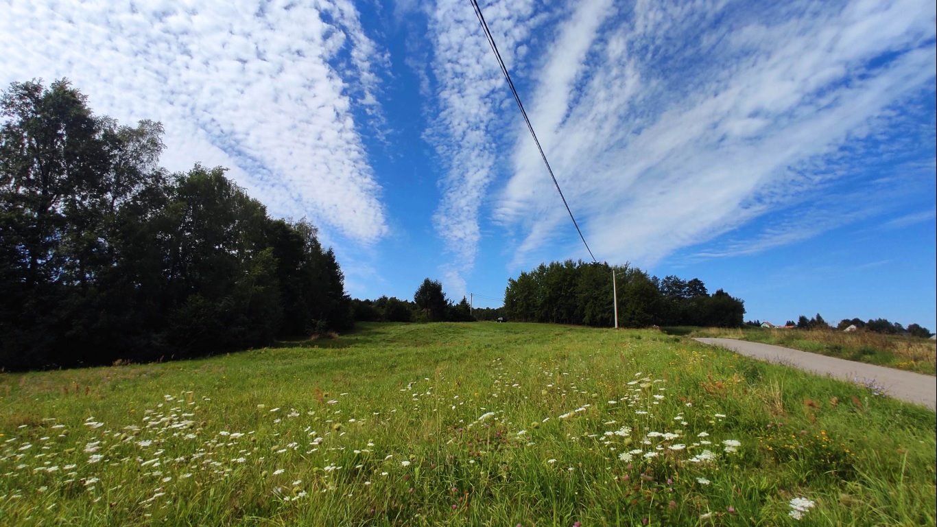 Działka budowlana na sprzedaż Radkowice-Kolonia  10 921m2 Foto 14