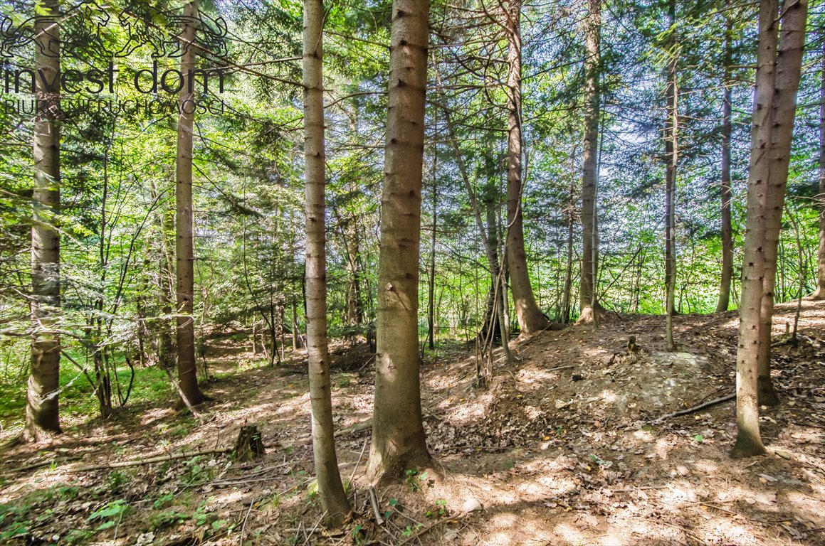 Działka leśna na sprzedaż Wyskitna  7 200m2 Foto 8