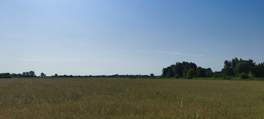 Działka budowlana na sprzedaż Koczargi Nowe, Bugaj  7 533m2 Foto 3