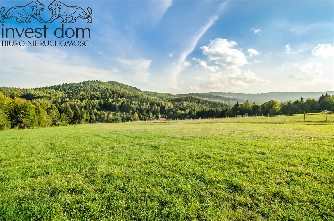 Działka budowlana na sprzedaż Florynka  1 244m2 Foto 6