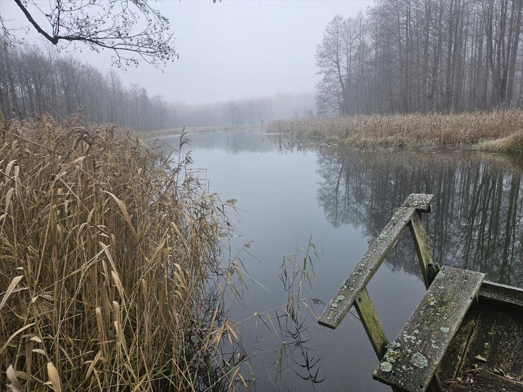 Działka rekreacyjna na sprzedaż Koczek  9 000m2 Foto 6