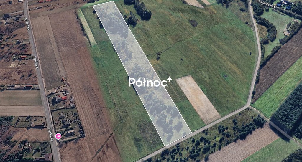 Zdjęcie 4