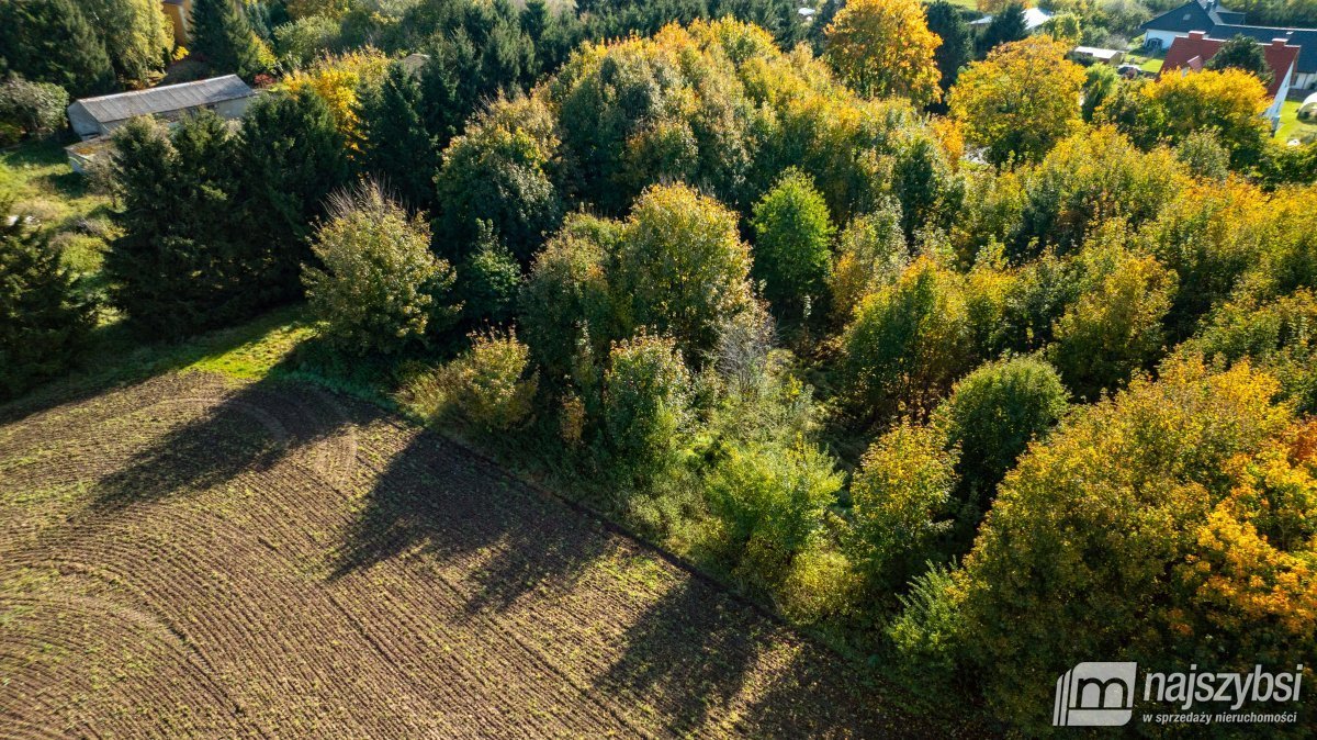 Działka rolna na sprzedaż Brojce, obrzeża  4 100m2 Foto 7