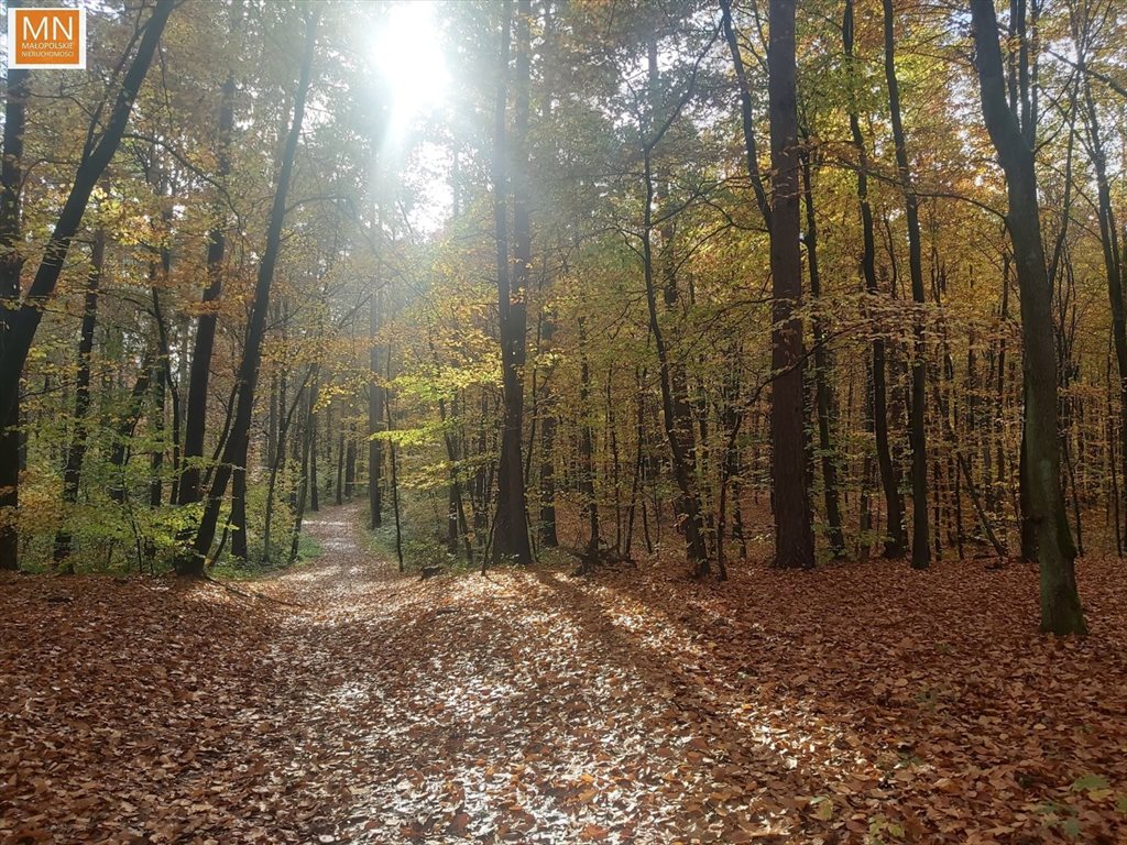 Dom na sprzedaż Brzegi  155m2 Foto 17