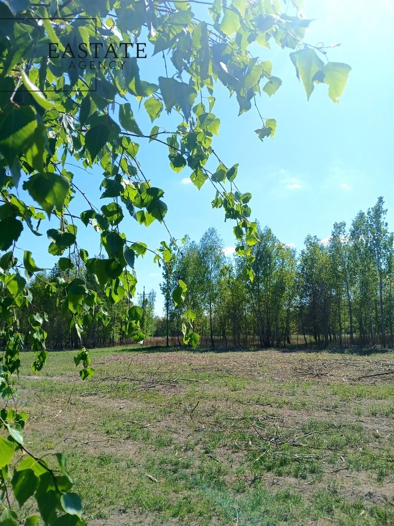 Działki w Korytach 2 227 m² – idealne pod inwestycję Koryta  2 227m2 Foto 1