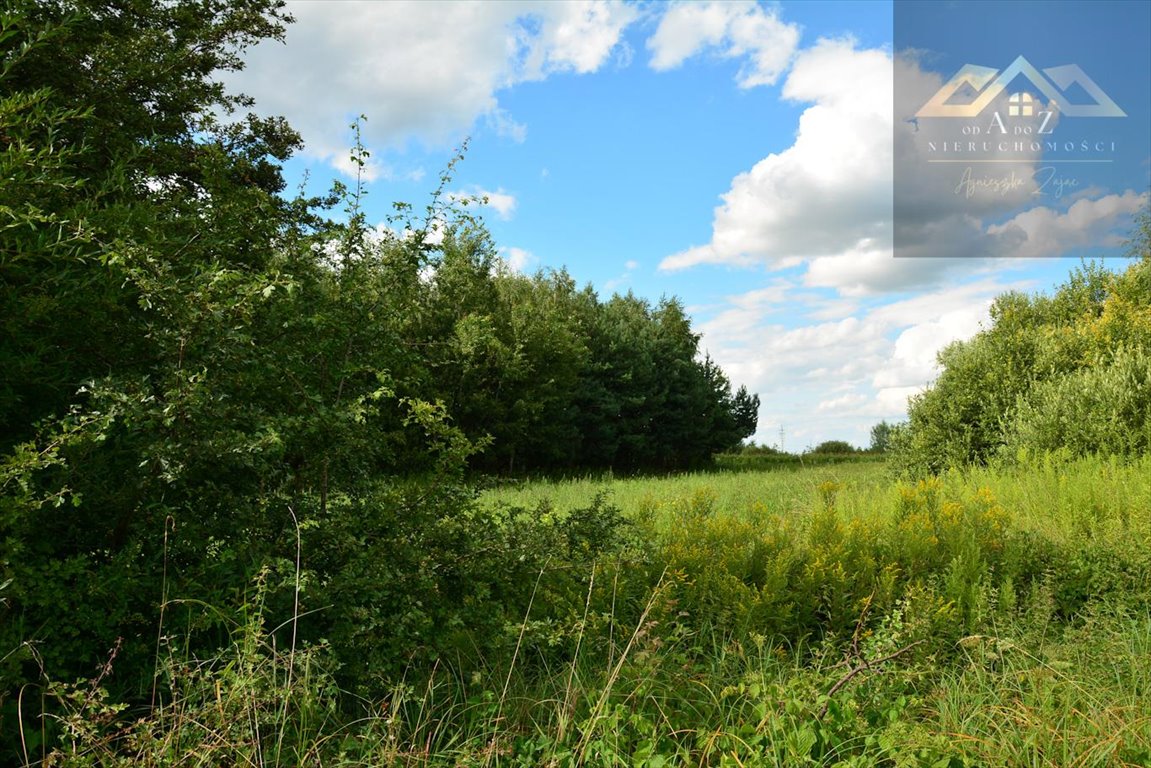 Działka budowlana na sprzedaż Radłów, bł. Karoliny Kózkówny  2 800m2 Foto 3