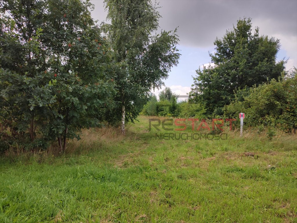 Polecam działkę 5000 m² w spokojnej okolicy z mediami przy drodze Stary Łajszczew  5 000m2 Foto 1