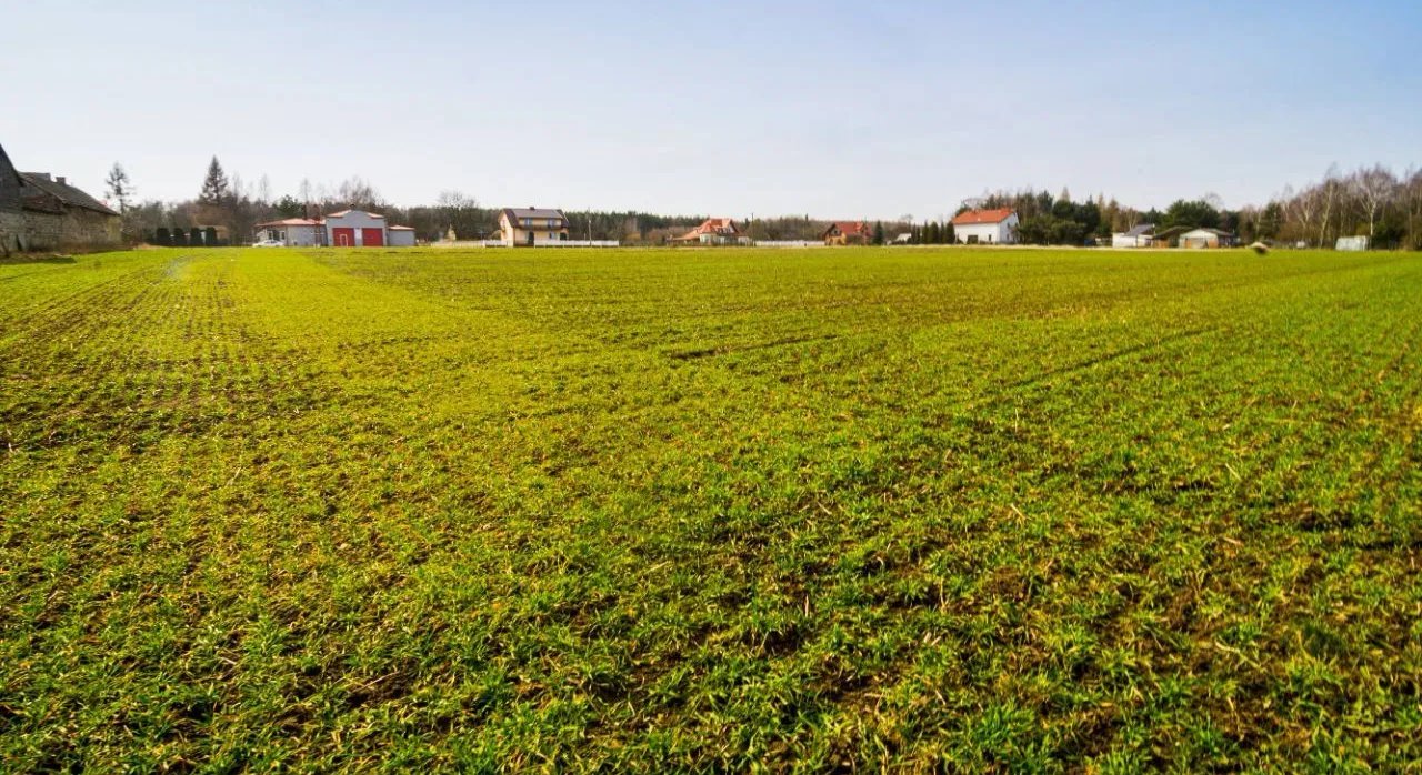 Działka budowlana na sprzedaż Logota Mała  525m2 Foto 3