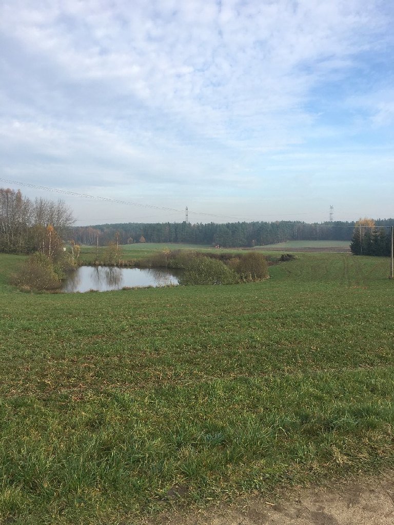 Działka rolna na sprzedaż Rąb  1 280m2 Foto 3