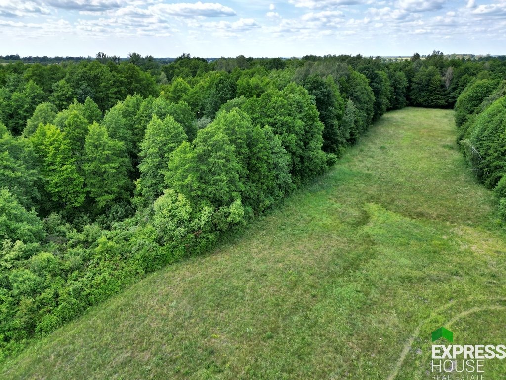 Działka 17 281 m² z starodrzewem i mediami w Świerszczowie Świerszczów  17 281m2 Foto 1