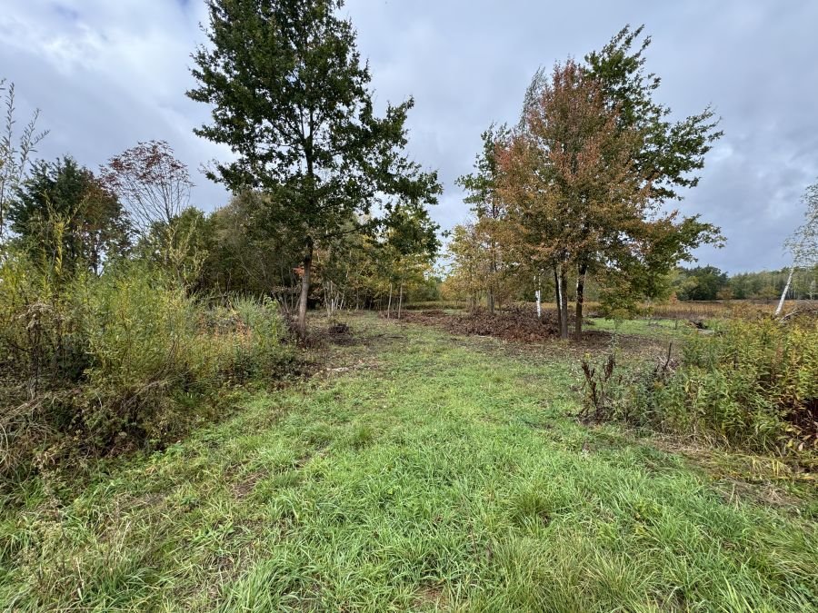 Działka inwestycyjna na sprzedaż Sułkowice, Wierzbowa  3 200m2 Foto 1