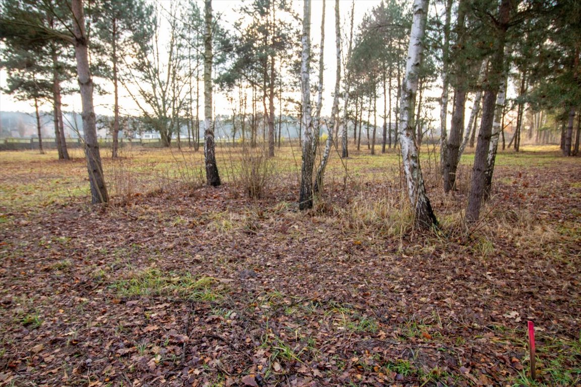 Działka budowlana na sprzedaż Koszęcin, Słowików  528m2 Foto 8