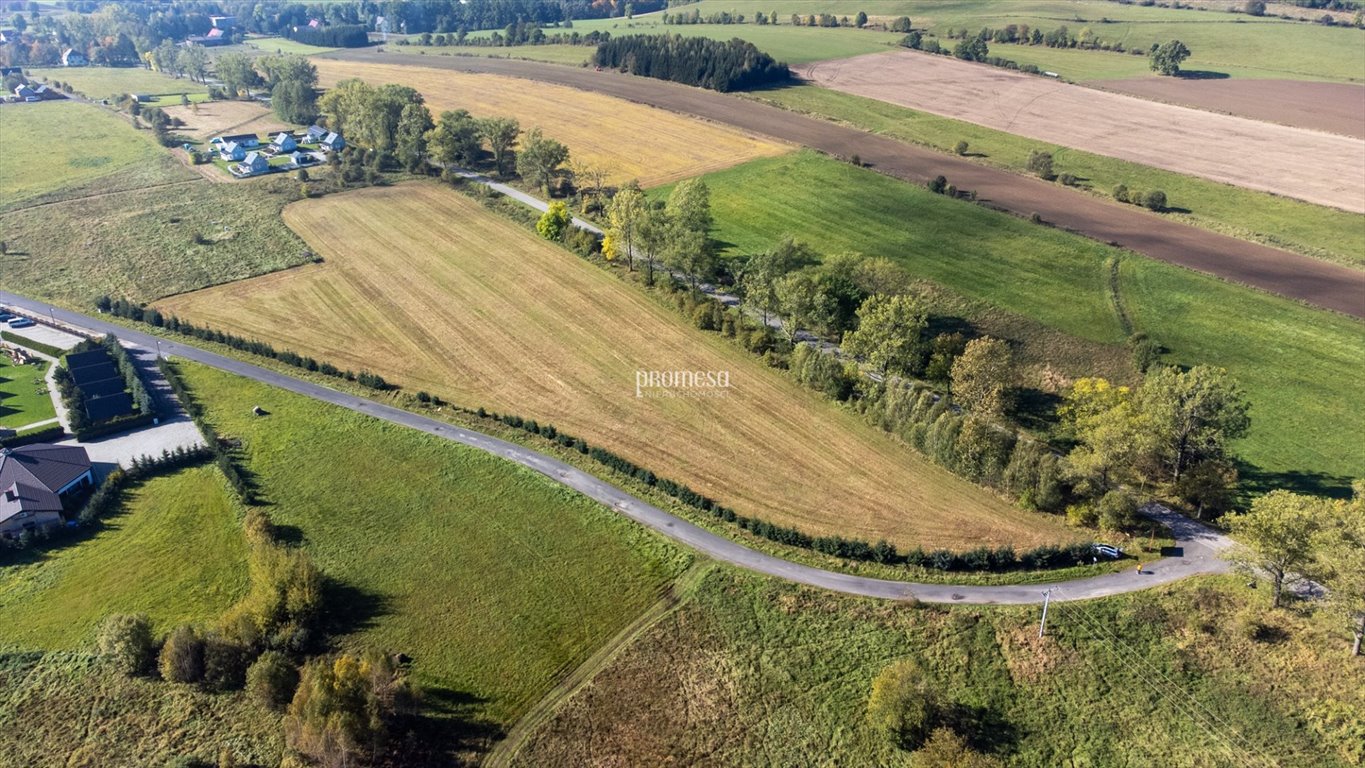 Działka budowlana na sprzedaż Miszkowice, Leśna  2 794m2 Foto 4