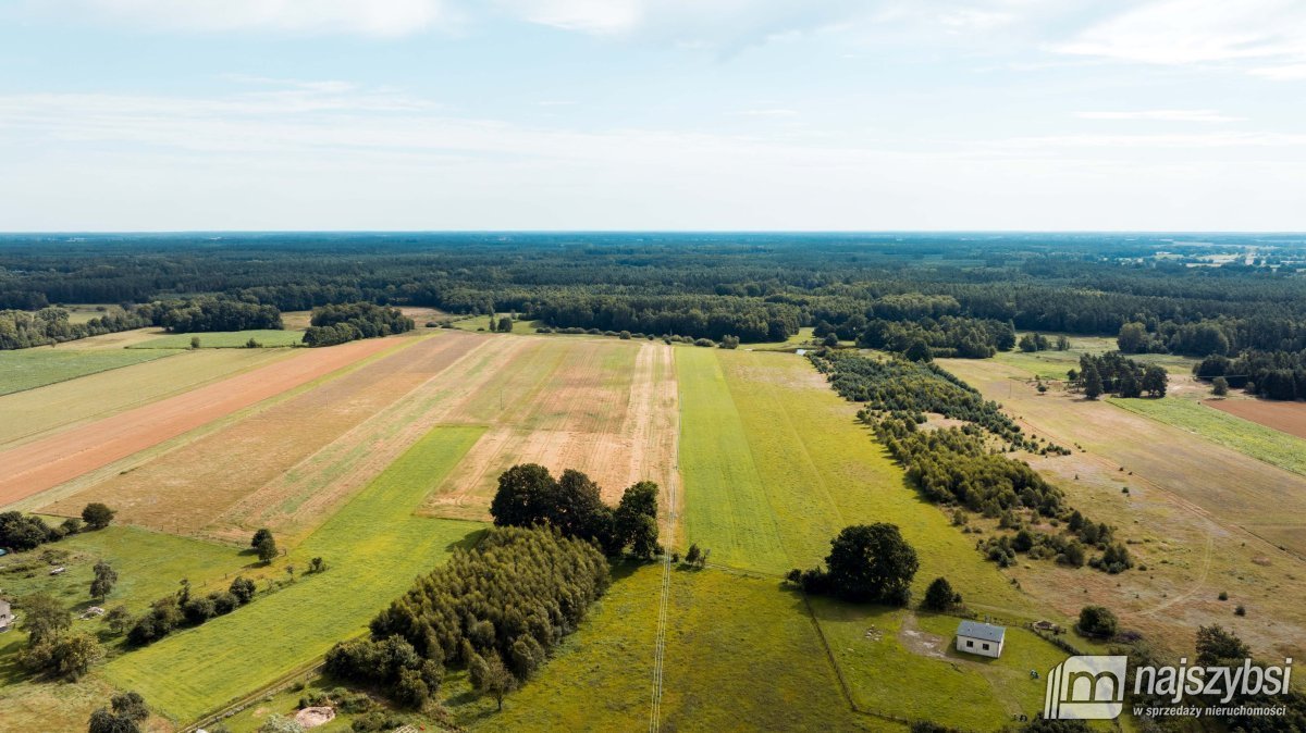 Działka rolna na sprzedaż Czermnica  17 100m2 Foto 7