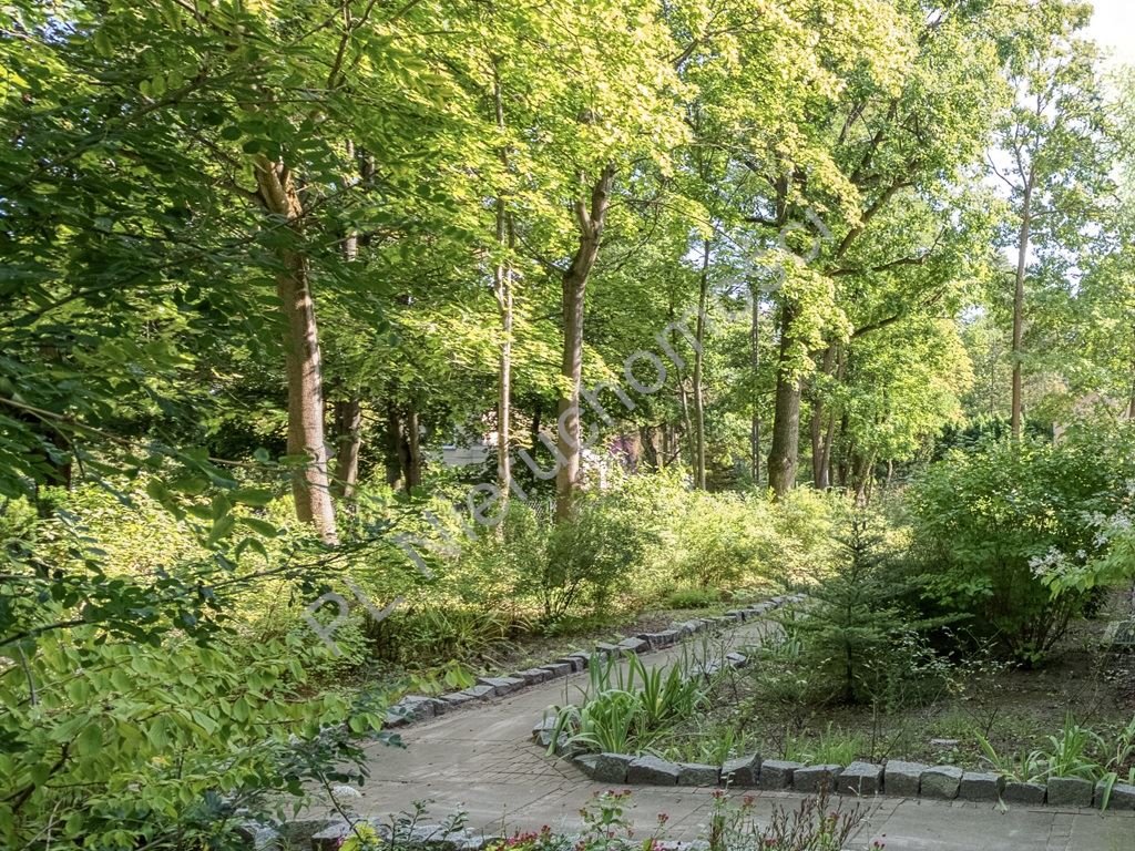 Mieszkanie na wynajem Milanówek  120m2 Foto 1