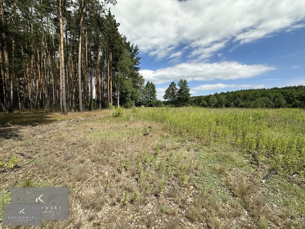 Działka inna na sprzedaż Namysłów, Nowe Smarchowice- Stanek  1 000m2 Foto 7